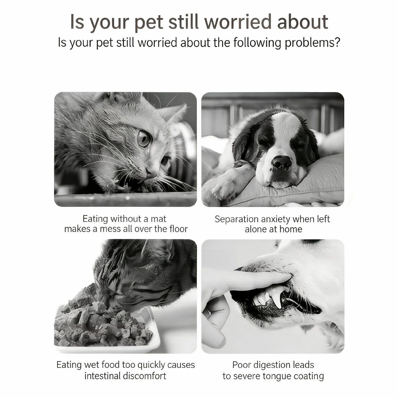 Interactive Pet Slow Feeder Bowl