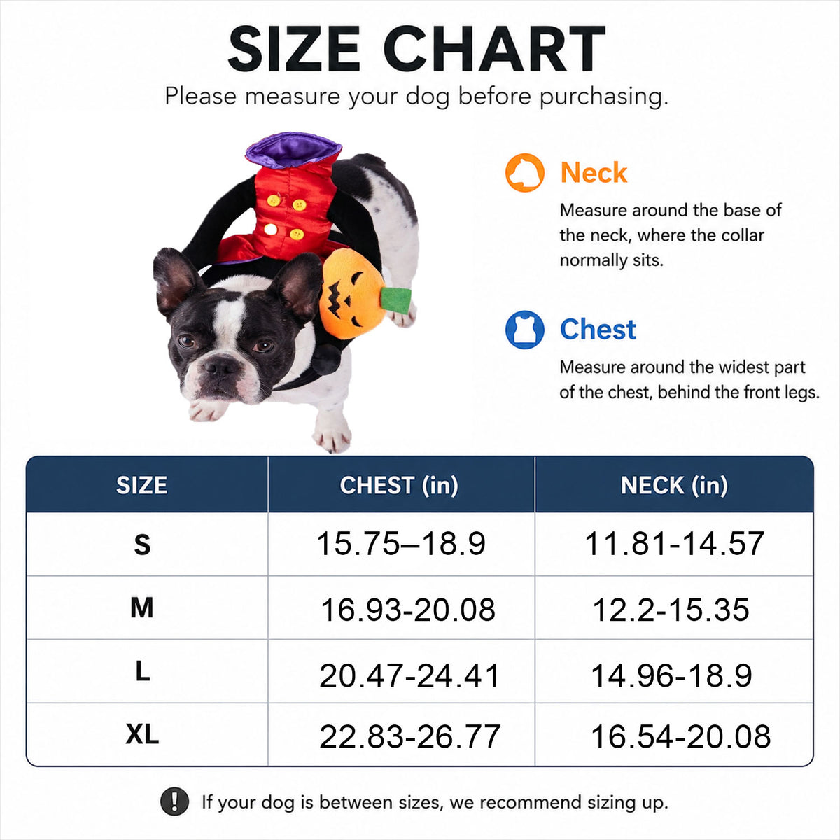 Halloween Dog Headless Horseman Costume
