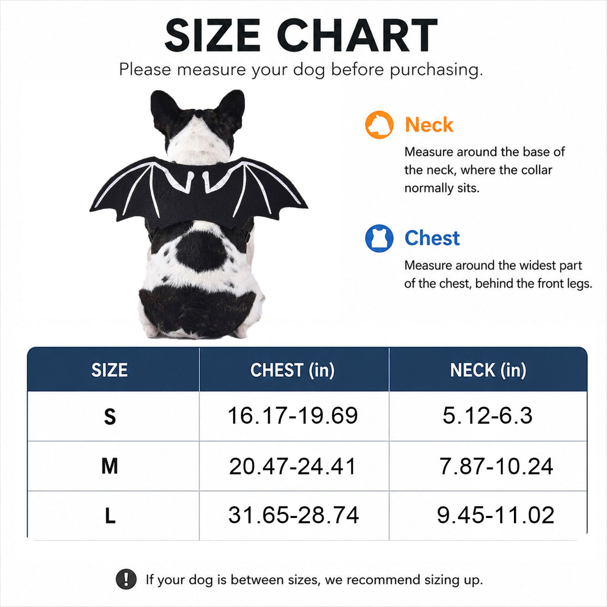 Black Bat Wings with Bone Line Detail