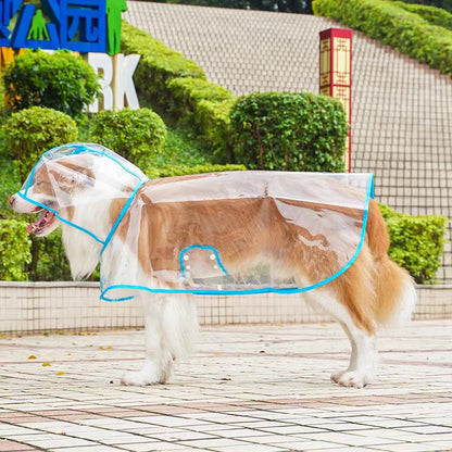 Transparent Edged Pet Raincoat