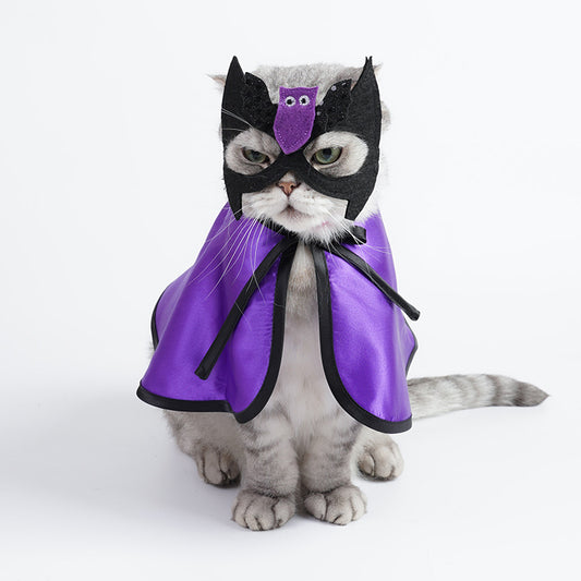 Halloween Pet Bat Costume Set