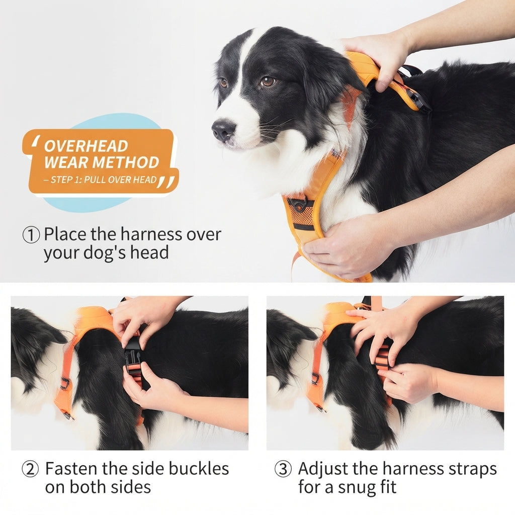 Retractable Dog Leash with No-Pull Harness Set