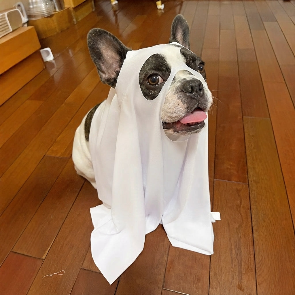 Halloween Dog Ghost Costume Sheet