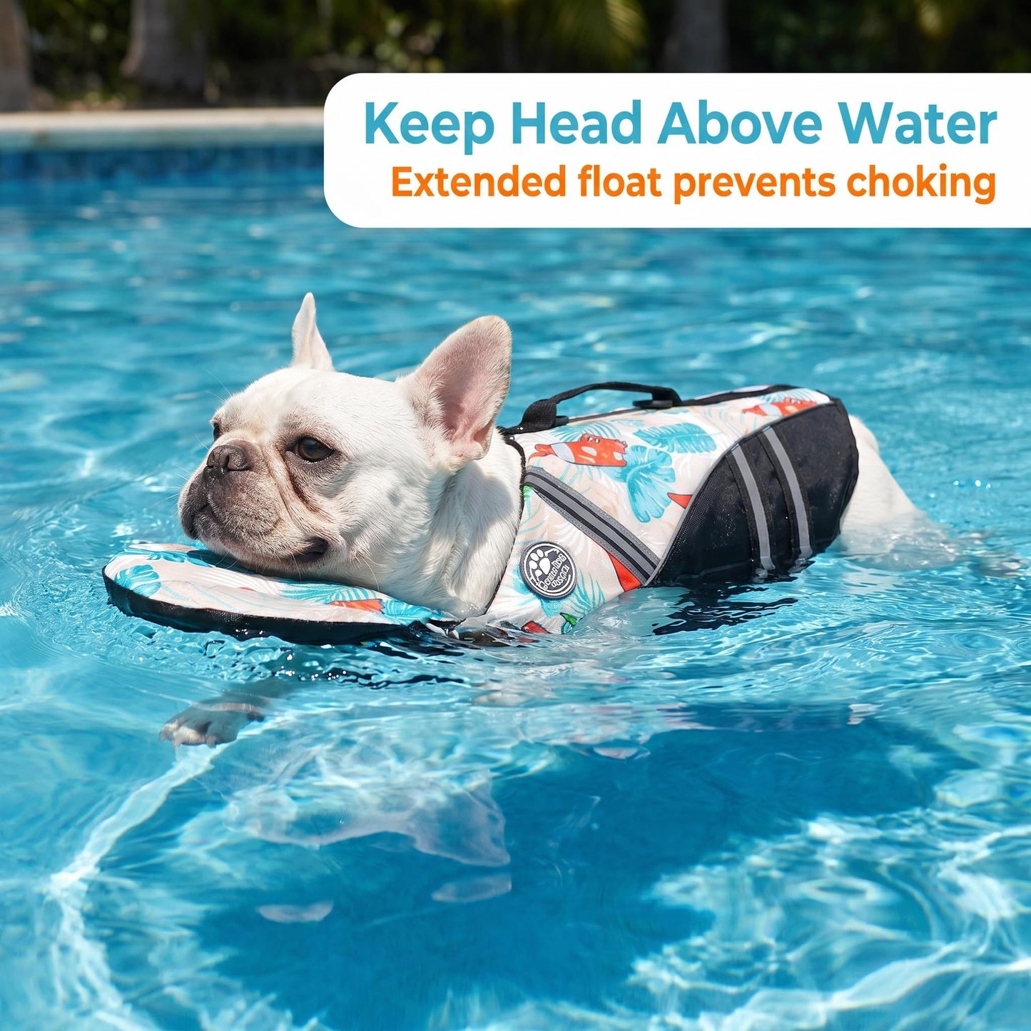 Ocean Dog Life Jacket