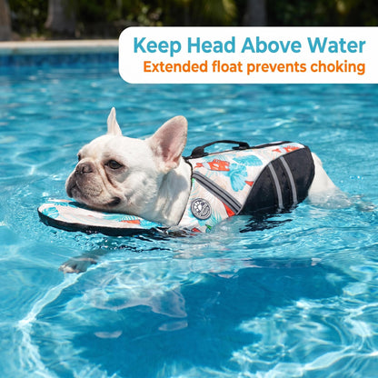Ocean Dog Life Jacket