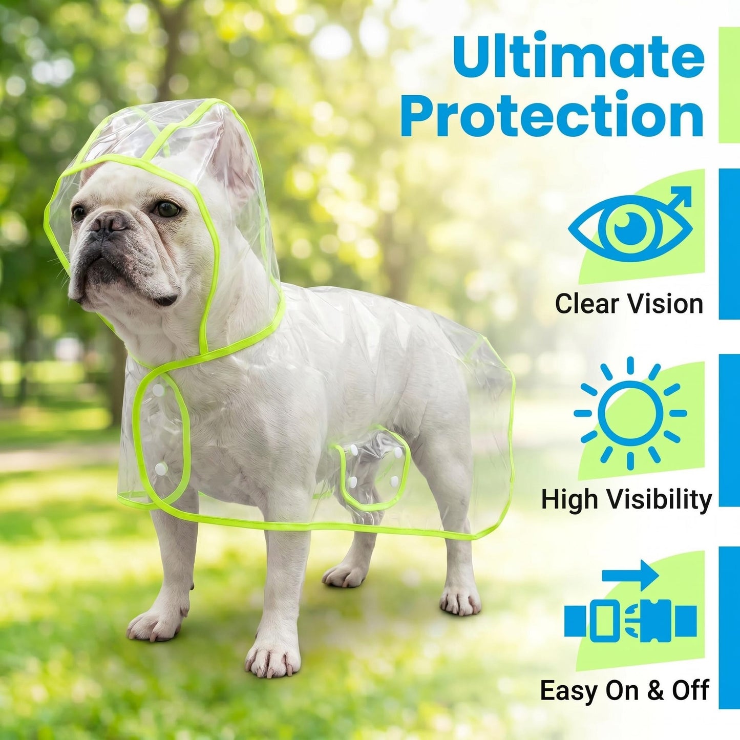 Transparent Edged Pet Raincoat, Must-Have for Dog Walking