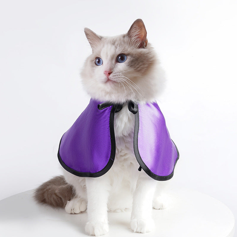 Halloween Pet Bat Costume Set