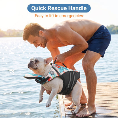 Ocean Dog Life Jacket
