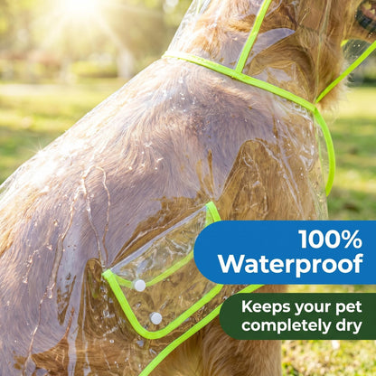 Transparent Edged Pet Raincoat, Must-Have for Dog Walking