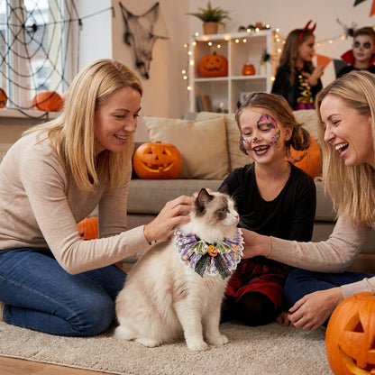 Halloween Pet Lace Ruffle Collar