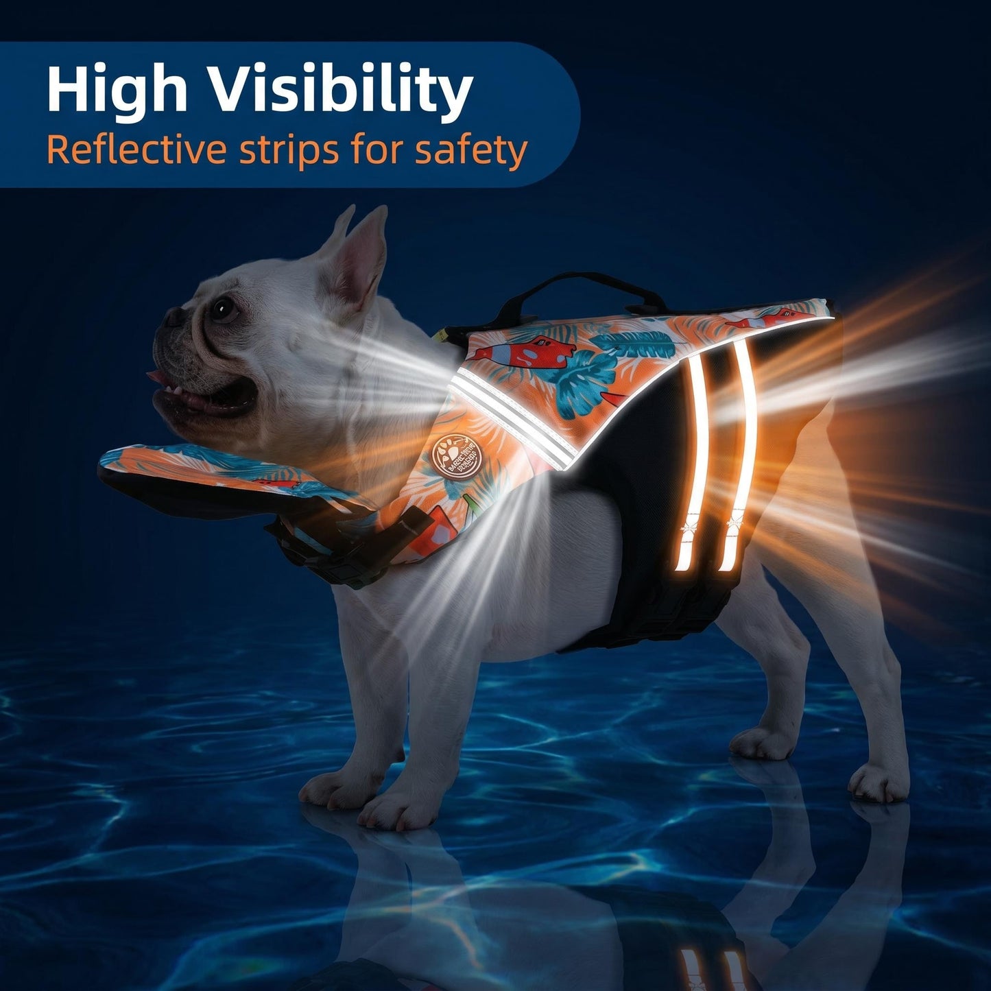 Ocean Dog Life Jacket