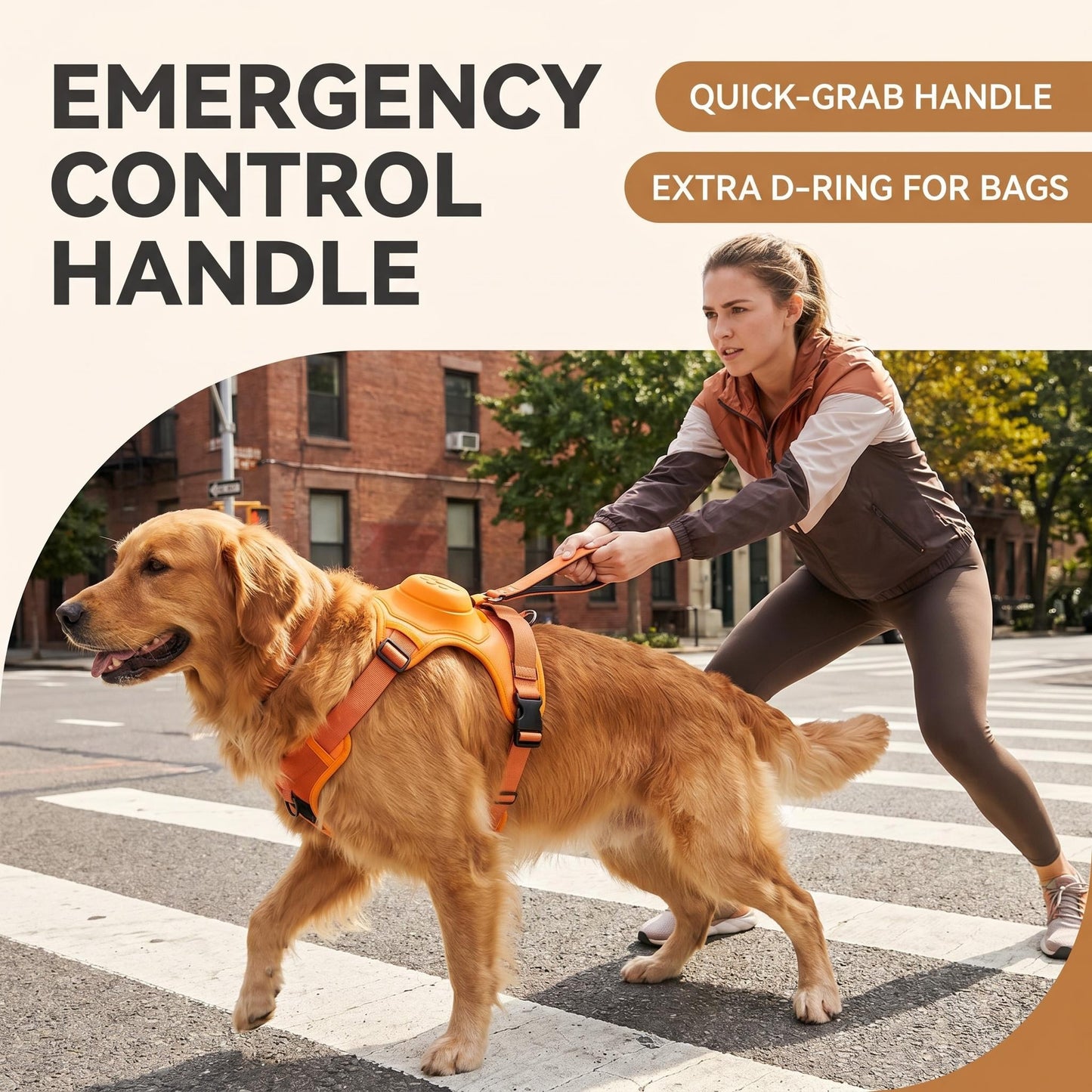 Retractable Dog Leash with No-Pull Harness Set