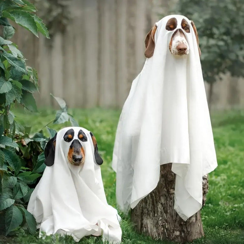 Halloween Dog Ghost Costume Sheet