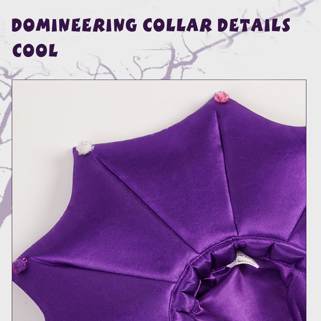 Halloween Purple Pet Witch Costume Set