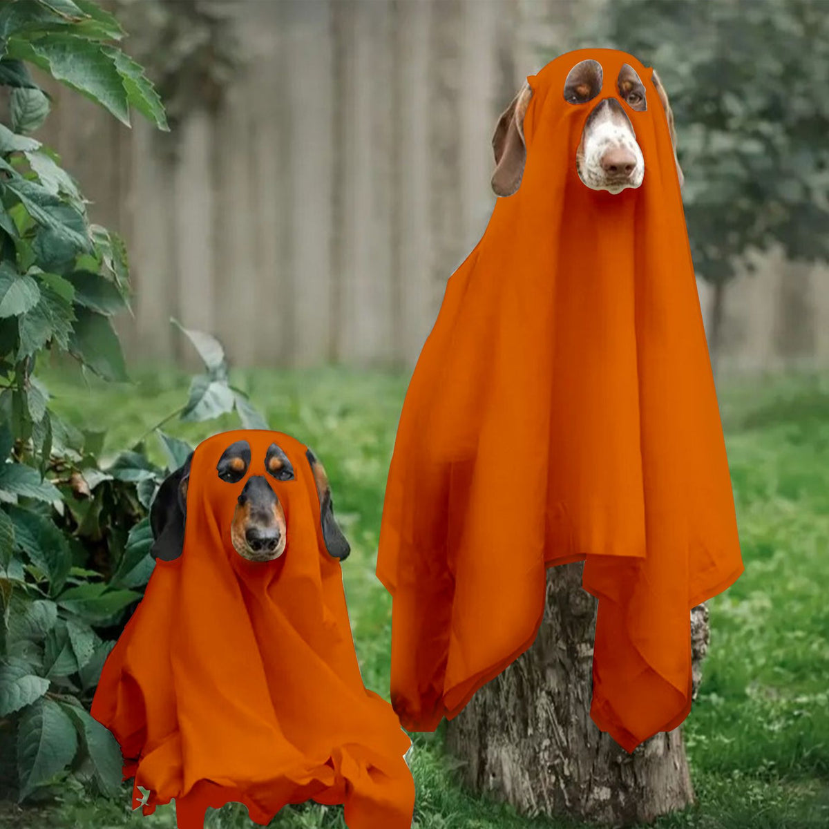 Halloween Dog Ghost Costume Sheet