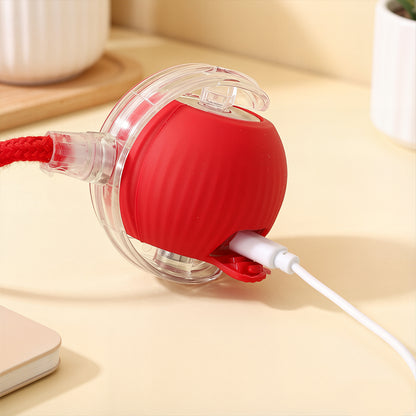 Smart Rolling Pet Ball