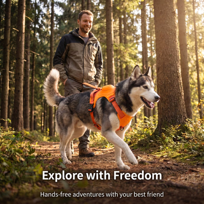Retractable Dog Leash with No-Pull Harness Set