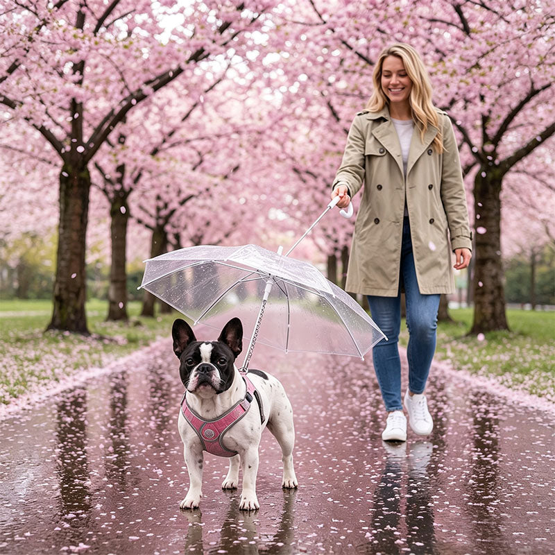 Transparent Dog Umbrella with Leash Hook