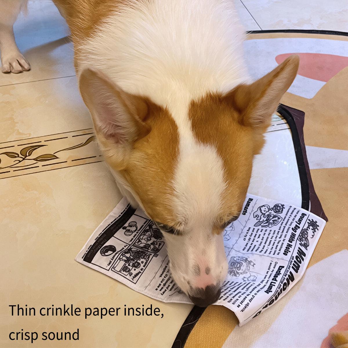 Funny Newspaper & Poker Squeaky Toys