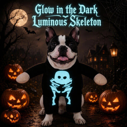 Spooky Luminous Skeleton Dog Costume