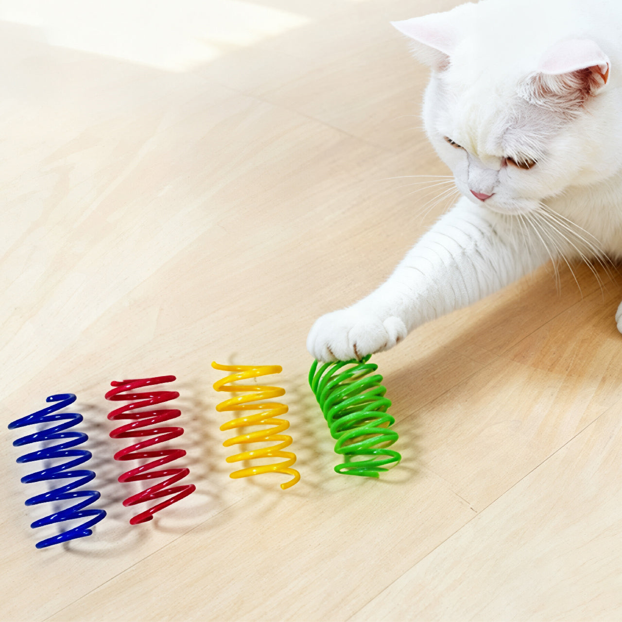 Durable Elastic Spring Chew Toy