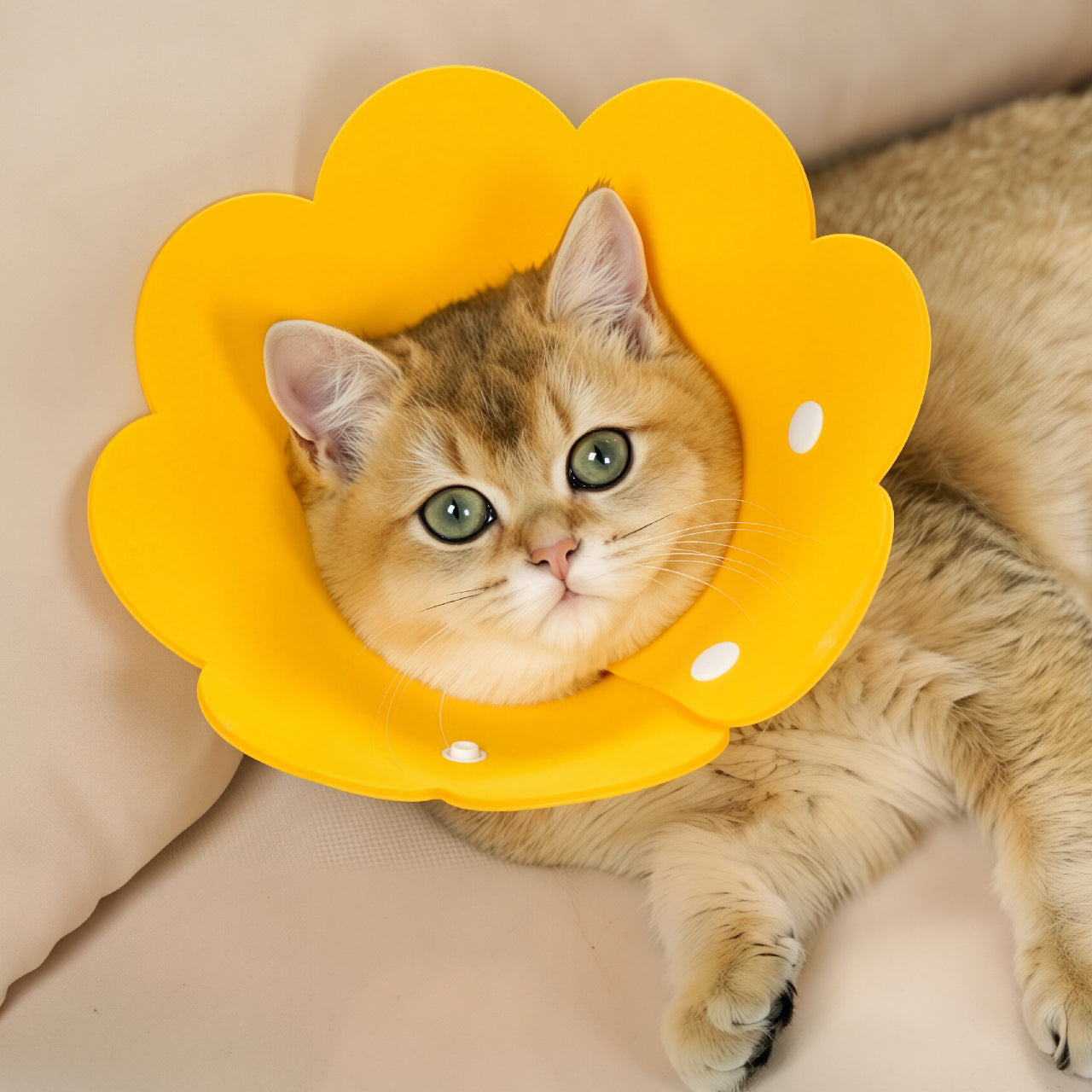 Soft Flower Recovery Collar for Pets