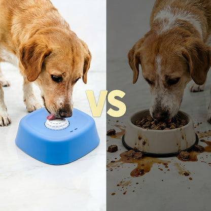 Interactive Pet Slow Feeder Bowl