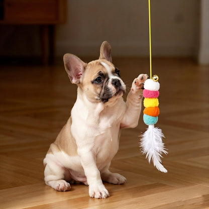 Self-Swing Pet Yo-Yo