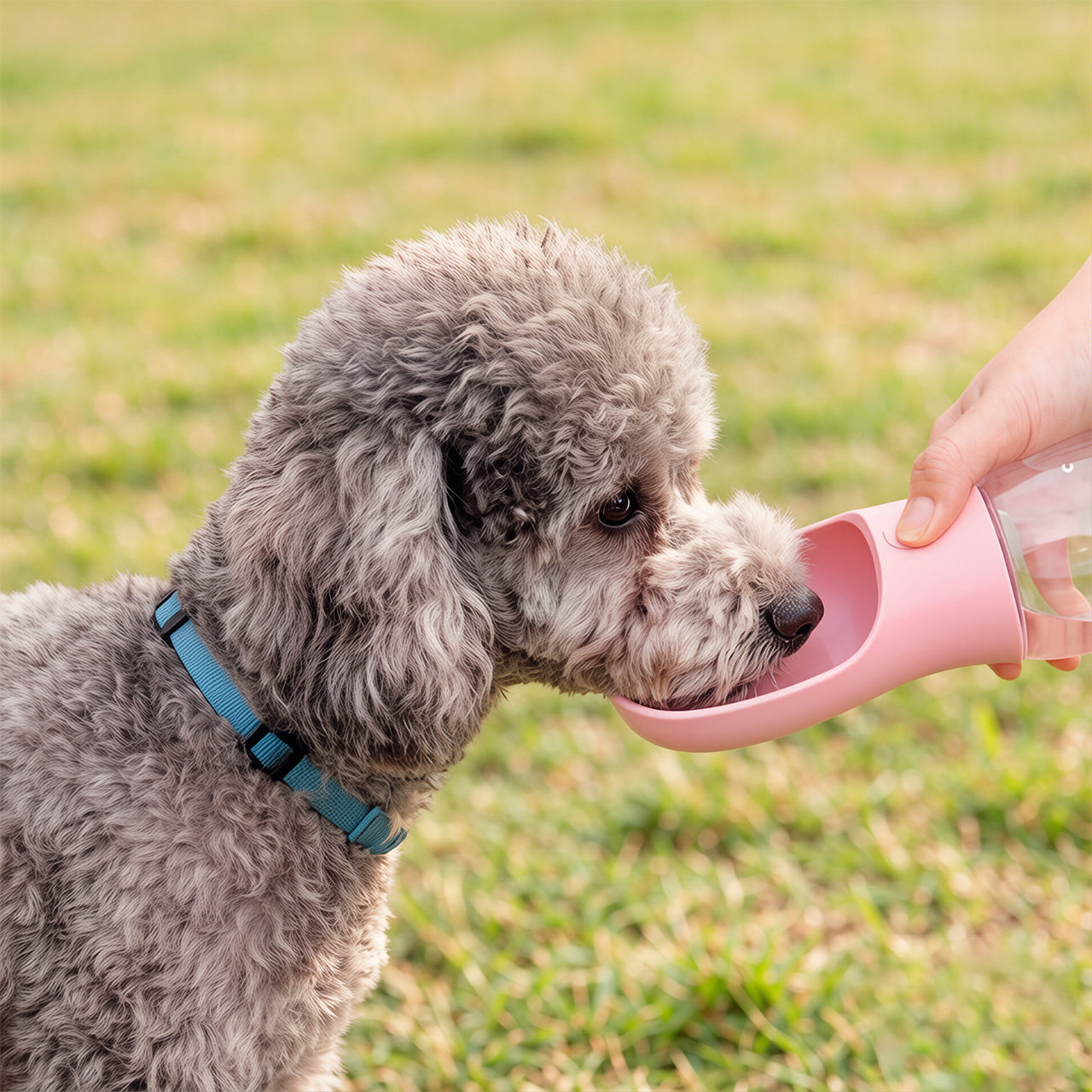 3-in-1 Pet Water Bottle & Feeder