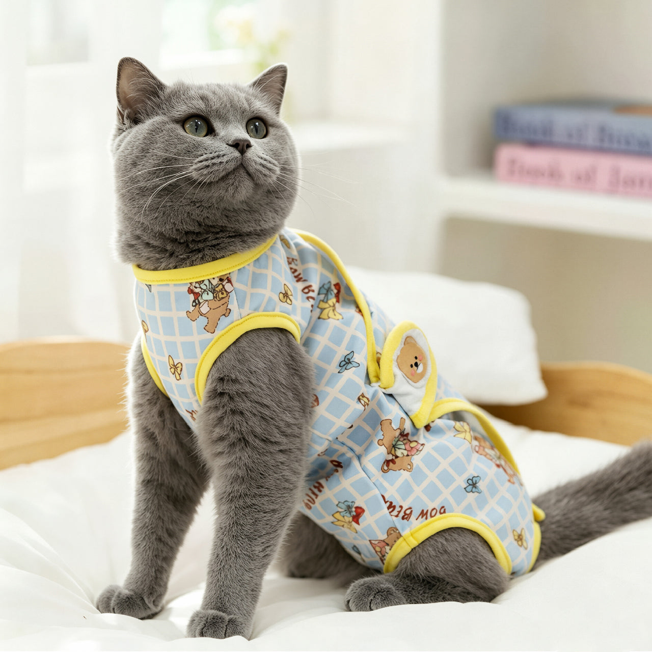 Breathable 4-Leg Recovery Suit for Pets