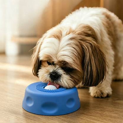 Slow Feed Maze Bowl for Safer Digestion