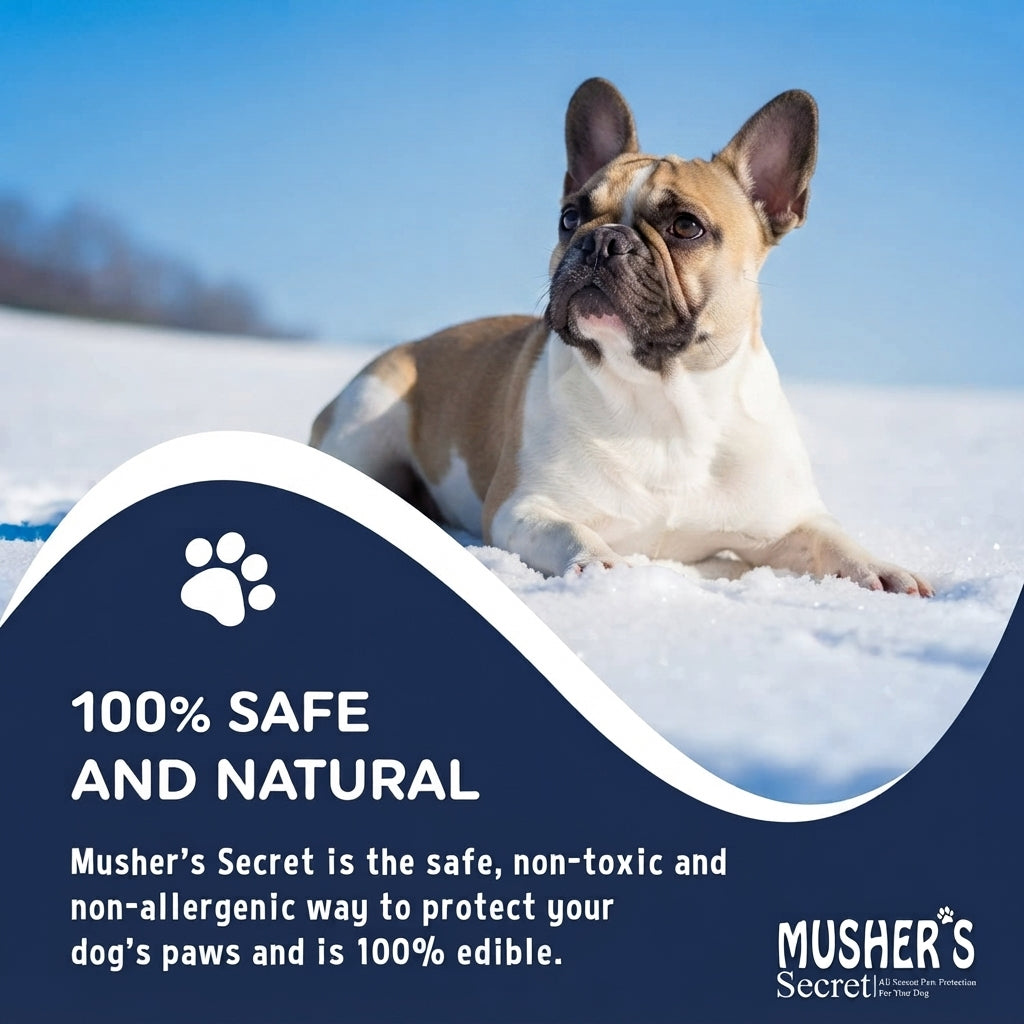 French Bulldog Paw & Nose Balm