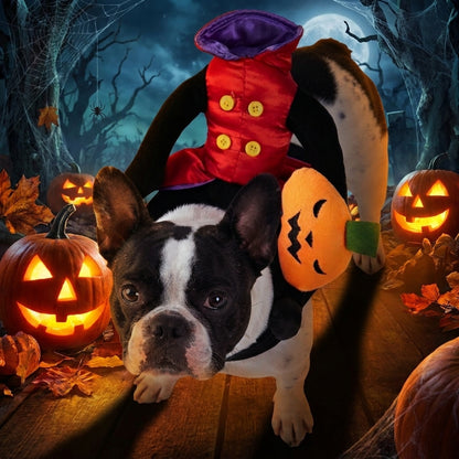 Halloween Dog Headless Horseman Costume