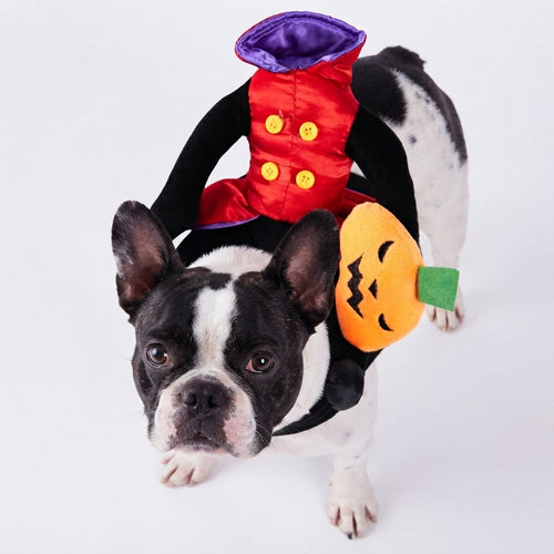 Halloween Dog Headless Horseman Costume