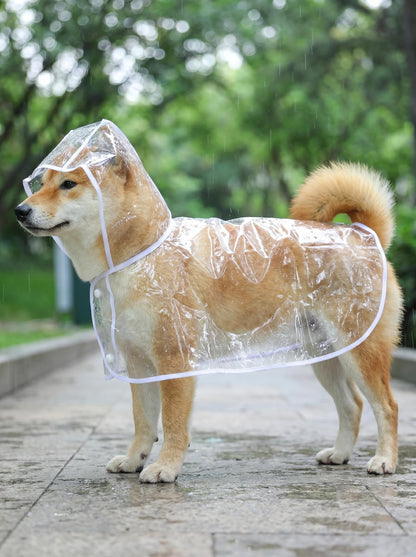Transparent Edged Pet Raincoat, Must-Have for Dog Walking