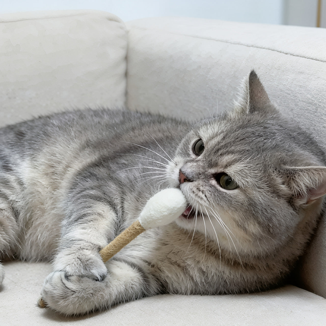 Cotton-Swab Shaped Pet Teaser Wand