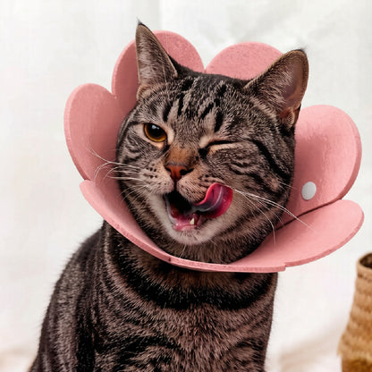 Soft Flower Recovery Collar for Pets
