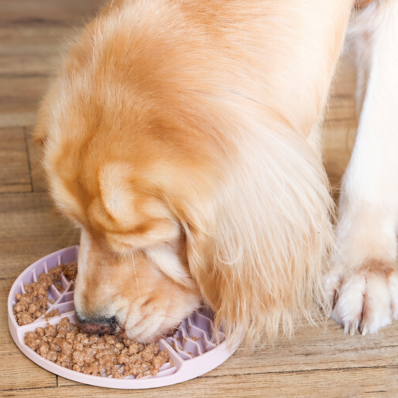 The 4-Zone Enrichment Lick Pad