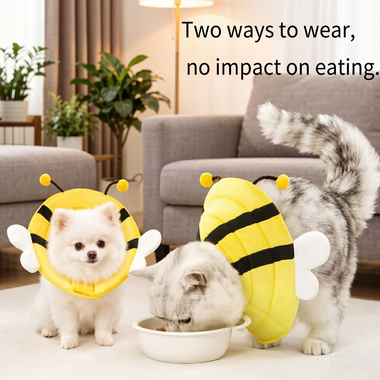 Cute Pet Recovery Collar