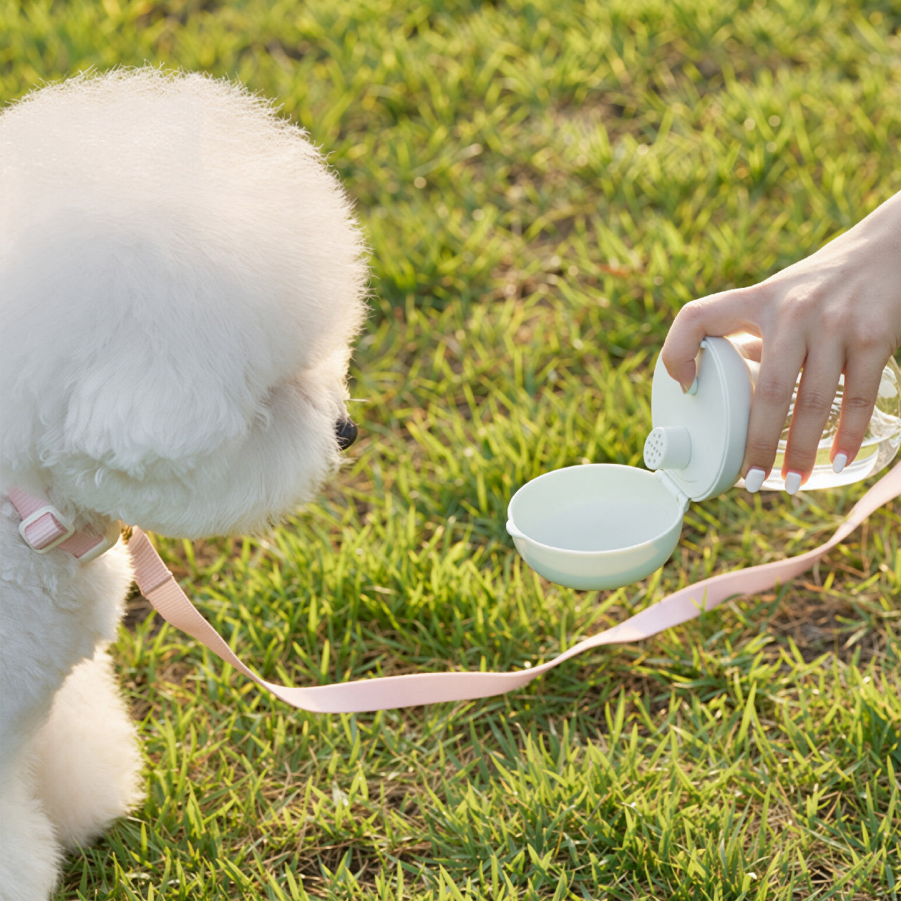 Mini Leakproof Pet Water Bottle