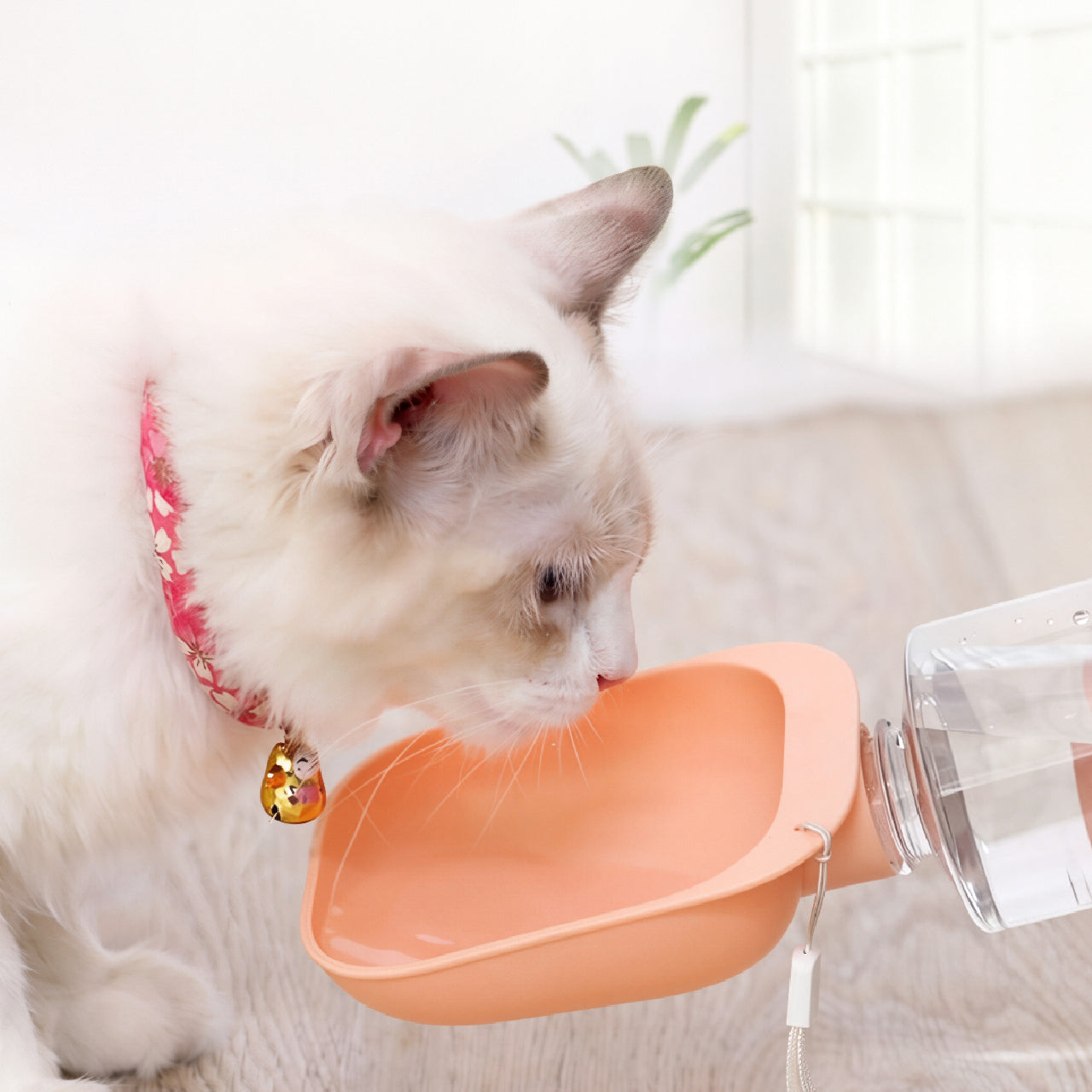 Pet Water Dispenser with Leash Attachment