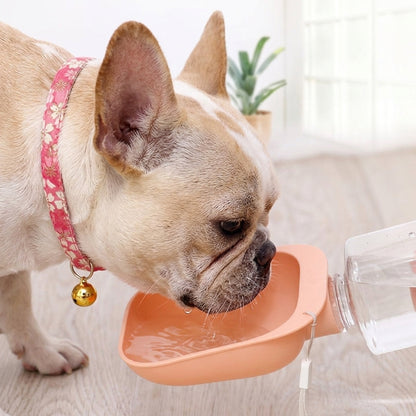 Pet Water Dispenser with Leash Attachment