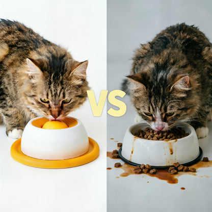 Slow Feed Bowl for Curious Pets