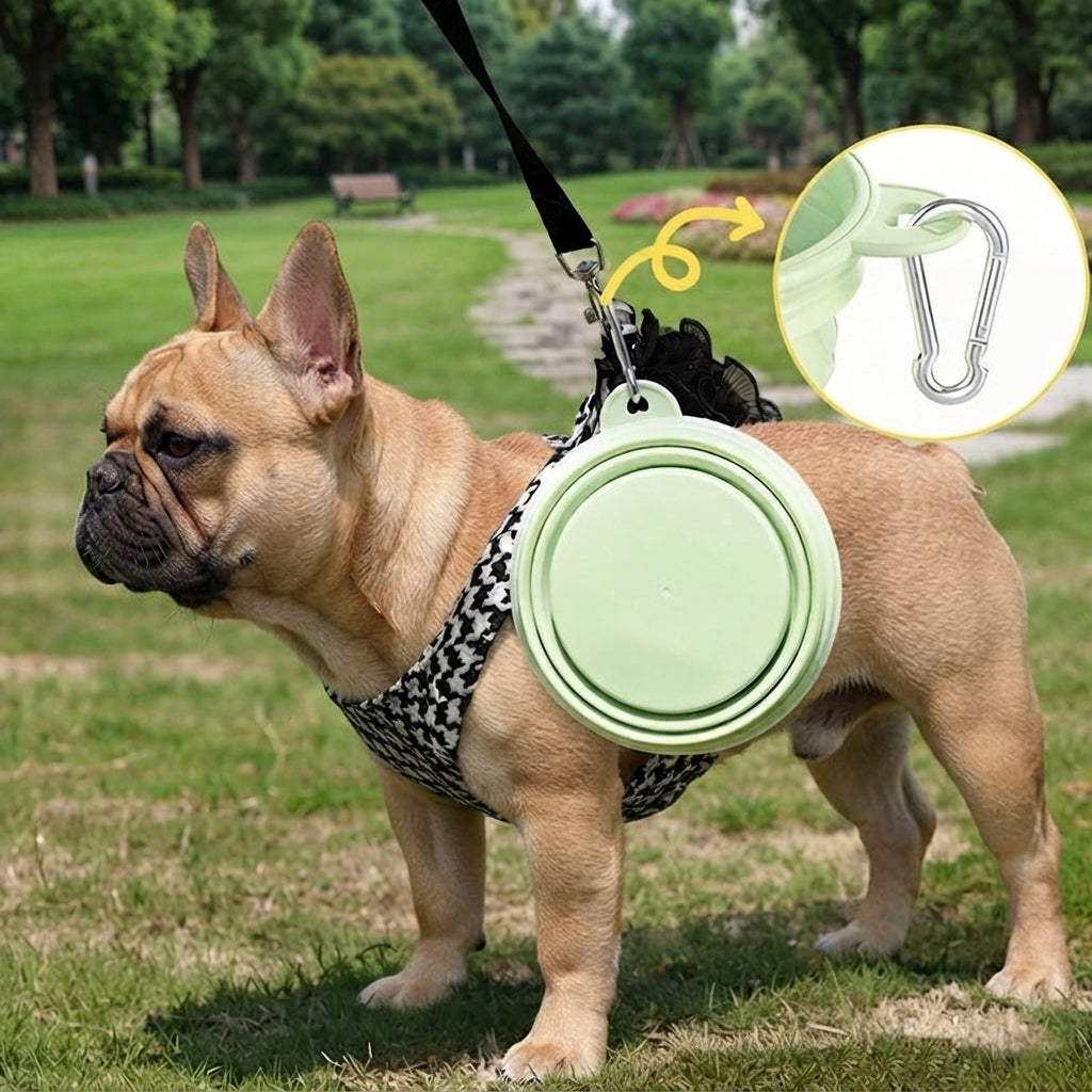 Macaron Collapsible Silicone Pet Bowl