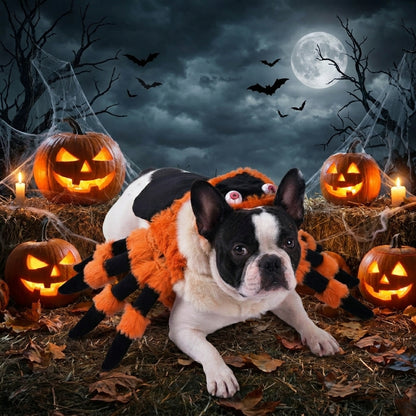 Halloween Dog Spider Costume