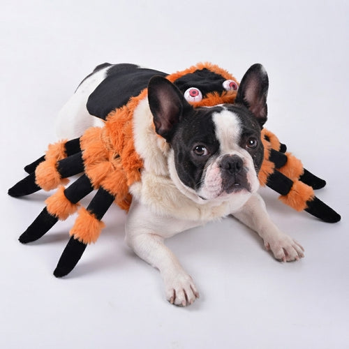 Halloween Dog Spider Costume