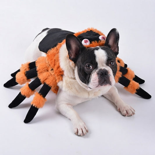 Halloween Dog Spider Costume