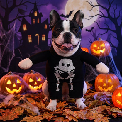Spooky Luminous Skeleton Dog Costume