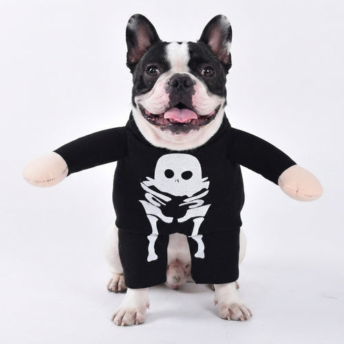 Spooky Luminous Skeleton Dog Costume