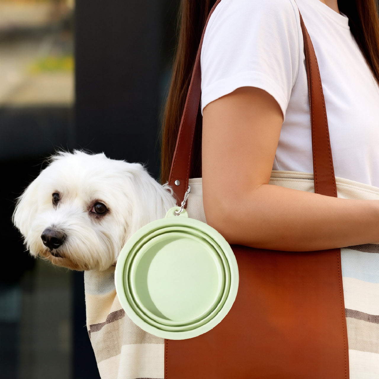 Macaron Collapsible Silicone Pet Bowl